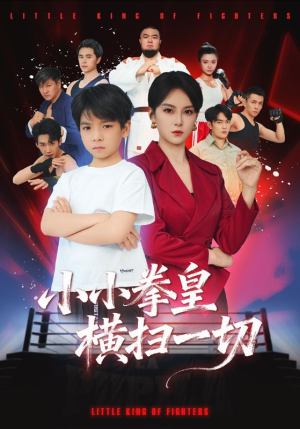 小小拳皇横扫一切（60集）短剧