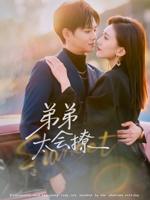 弟弟太会撩（81集）短剧在线看