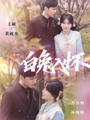 白兔入怀（60集）高分佳作免费看