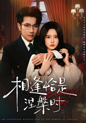 相逢恰是涅槃时（63集）流畅播放免费看