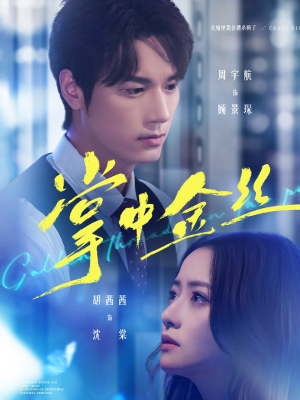 长姐她竟是隐藏大佬(60集) 长姐她竟是隐藏大佬(60集)短剧全集免费看