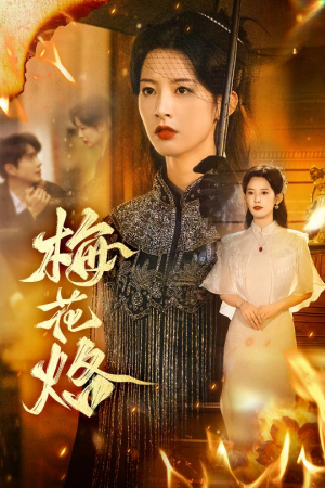 梅花烙(61集) 梅花烙(61集)全集下载