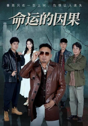 命运的因果（60集）全集完整版