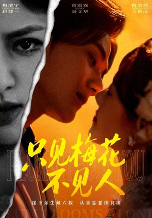 只见梅花不见人（63集）抢先看热门短剧