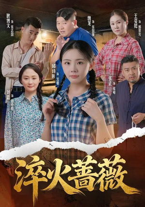 淬火蔷薇（50集）短剧太精彩了