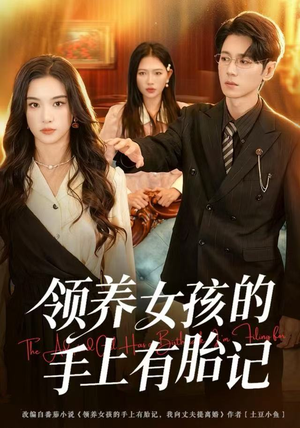 领养女孩的手上有胎记（60集）精彩短剧合集