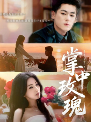 掌中玫瑰（60集）爆款短剧追不停