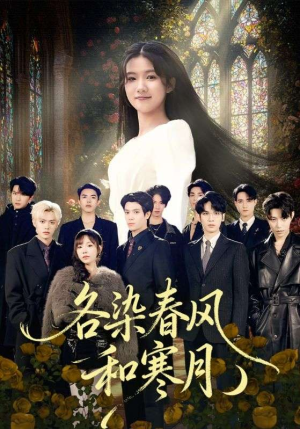 尘埃里的真千金（67集）短剧更新抢先看