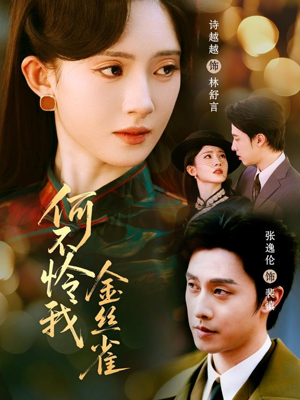 何不怜我金丝雀（60集）一口气追完全集