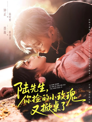 陆先生，你捡的小玫瑰又掀桌了（74集）哪个短剧网能看