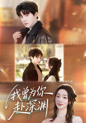 我曾为你赴深渊（63集）免费观看完整版