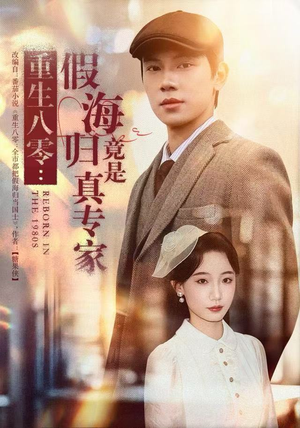 重生八零：假海归竟是真专家（65集）看到了大结局