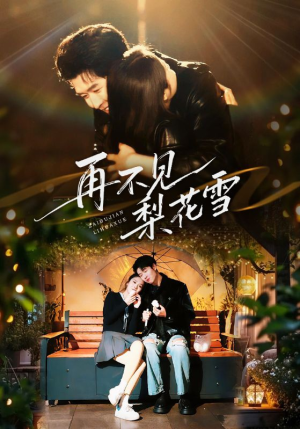 再不见梨花雪（70集）零花钱看整部剧