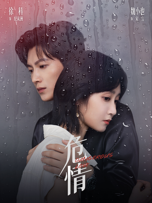 危情（65集）免费在线看全集