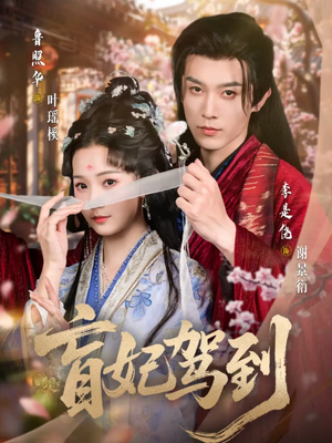 盲妃驾到（65集）口碑之选免费看