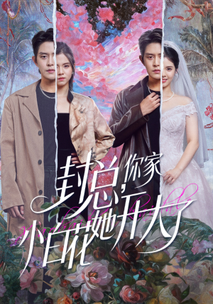 封总，你家小白花她开大了（60集）红果短剧看全集