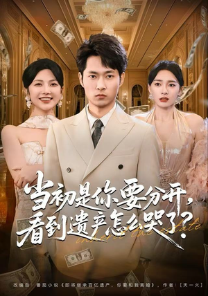 当初是你要分开，看到遗产怎么哭了？（70集）爆火短剧推荐