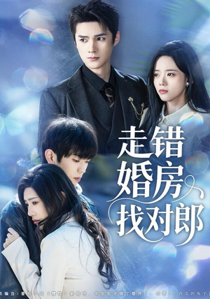 走错婚房找对郎（50集）免费看
