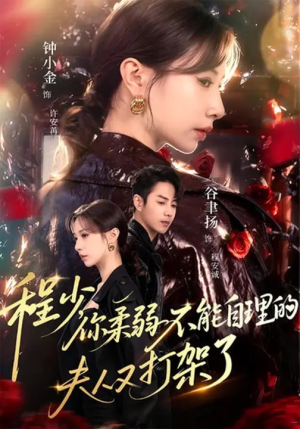 程少你柔弱不能自理的夫人又打架了（60集）免费看全集