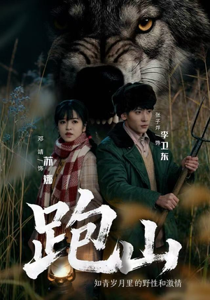 跑山：知青岁月里的野性和激情（83集）直接追到结尾