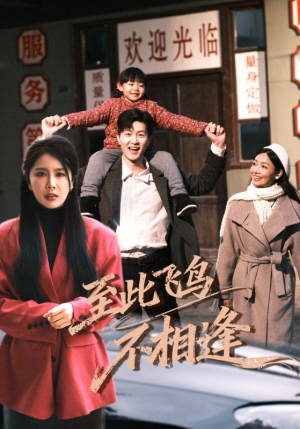 至此飞鸟不相逢（70集）超好看短剧推荐