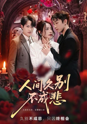 人间久别不成悲（80集）免费观看就是爽