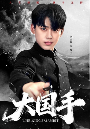 大国手（76集）短剧全集大结局