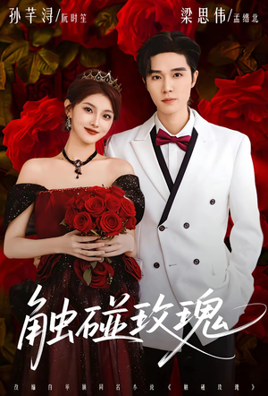 触碰玫瑰（80集）短剧抢先看全集