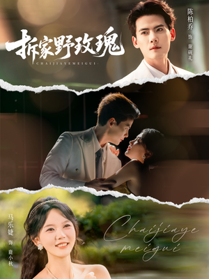 拆家野玫瑰（80集）看精彩短剧