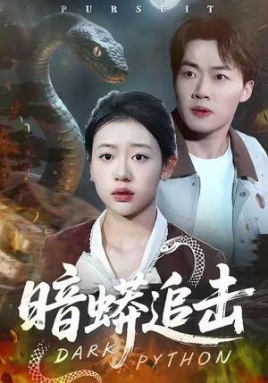 暗蟒追击（35集）免费观看全集