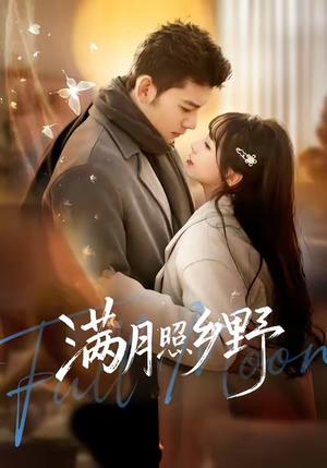 满月照乡野(70集) 满月照乡野(70集)在线看到大结局