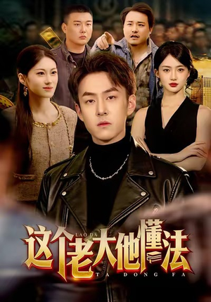 这个老大他懂法（100集）最新上映的短剧