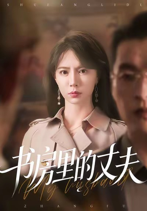 书房里的丈夫（100集）解说