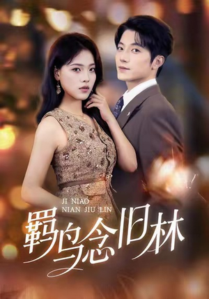 羁鸟念旧林（60集）精彩短剧又来了