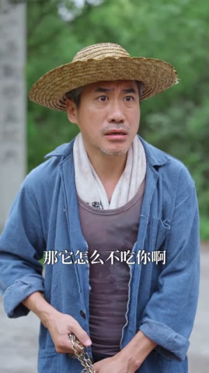 别惹我的狗（40集）口碑爆棚免费看