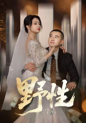 野性（70集）看到大结局