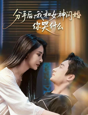 悲欢离合总无情（80集）好看的短剧