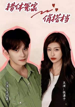 错体冤家俏搭档（60集）哪个网站可以看