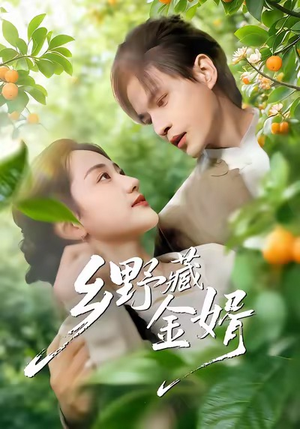 乡野藏金婿（50集）短剧在线更新