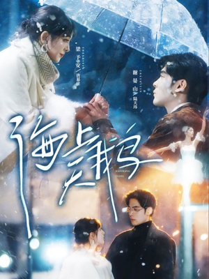 海上天鹅（70集）每日短剧推荐