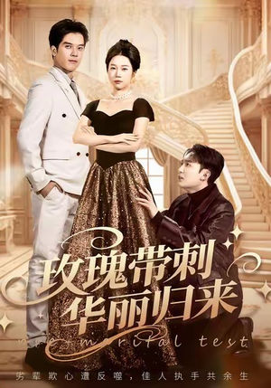 婚前测试他不配（83集）短剧上头又好看