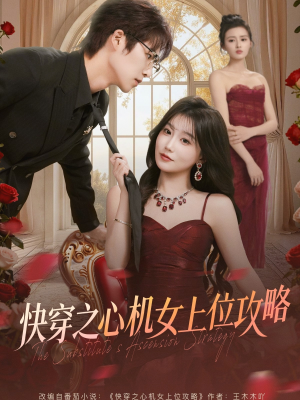 快穿之心机女上位攻略（81集）男主角是谁