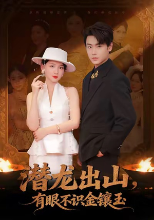 潜龙出山有眼不识金镶玉（78集）短剧分享剧集