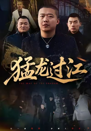 猛龙过江（60集）每天短剧分享