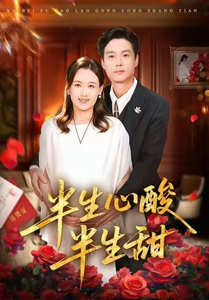 半生心酸半生甜（70集）无需会员轻松看