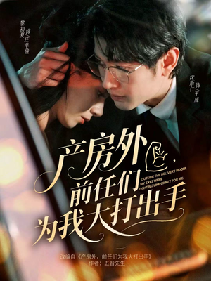 产房外，前任们为我大打出手（79集）番茄免费短剧