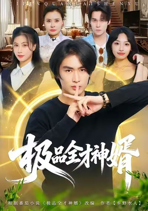 极品全才神婿（67集）短剧演员排行榜