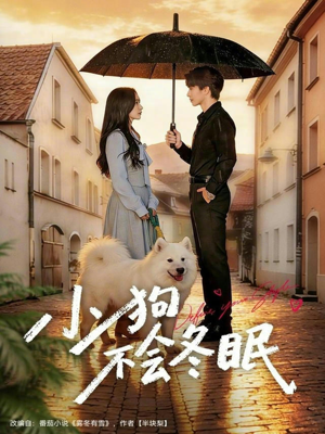 小狗不会冬眠（70集）最新上映免费看