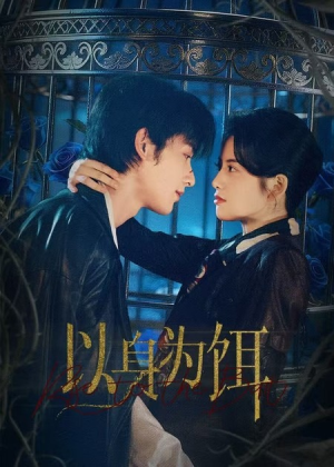 以身为饵（61集）高清无码免费看