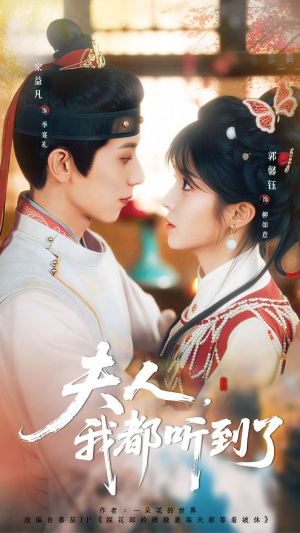 夫人，我都听到了（100集）1-102集